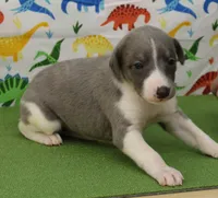 processed/f747d14b-a878-46fe-9ce7-210efab35373/listing/33ea8dfc-6c92-477f-9dd4-84b0d665f376/163602f8-0c12-4e3a-be7e-34302df344f6