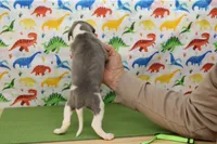 processed/f747d14b-a878-46fe-9ce7-210efab35373/listing/33ea8dfc-6c92-477f-9dd4-84b0d665f376/36361477-a94a-4137-8955-9d9069b56430