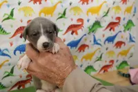 processed/f747d14b-a878-46fe-9ce7-210efab35373/listing/33ea8dfc-6c92-477f-9dd4-84b0d665f376/65916024-3c20-4f29-b0f6-de2f29f25c28