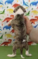 processed/f747d14b-a878-46fe-9ce7-210efab35373/listing/52be677d-7daa-4e42-a64b-def9aa6b8463/8bc4cd42-bdd3-4437-8d30-8a3276c6b310