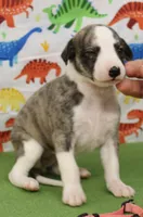 processed/f747d14b-a878-46fe-9ce7-210efab35373/listing/52be677d-7daa-4e42-a64b-def9aa6b8463/f50c7ab1-7952-461d-a3b1-ff553dc34f28