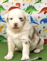 processed/f747d14b-a878-46fe-9ce7-210efab35373/listing/57d81f8f-1f0b-4e29-b12c-4f06a2f62f5a/0bb3edd1-1828-4d0e-8cbc-43b959913456