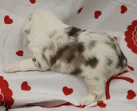 processed/f747d14b-a878-46fe-9ce7-210efab35373/listing/57d81f8f-1f0b-4e29-b12c-4f06a2f62f5a/52f600b5-8593-4e35-a715-69cd3487da62