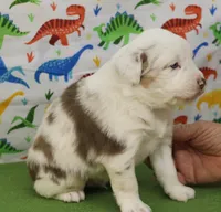 processed/f747d14b-a878-46fe-9ce7-210efab35373/listing/57d81f8f-1f0b-4e29-b12c-4f06a2f62f5a/865ba171-8243-4efb-b7a6-d65ac89660b8