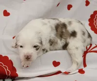 processed/f747d14b-a878-46fe-9ce7-210efab35373/listing/57d81f8f-1f0b-4e29-b12c-4f06a2f62f5a/cab93f22-c816-4044-8593-0347a8007f7a