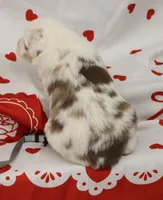 processed/f747d14b-a878-46fe-9ce7-210efab35373/listing/57d81f8f-1f0b-4e29-b12c-4f06a2f62f5a/db726b2a-ed3d-4422-a8a8-881b8868e62d