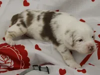 processed/f747d14b-a878-46fe-9ce7-210efab35373/listing/57d81f8f-1f0b-4e29-b12c-4f06a2f62f5a/e72b68ab-5481-41fa-996e-677abb11e13b