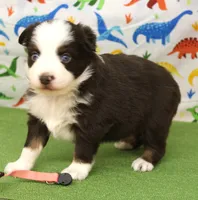 processed/f747d14b-a878-46fe-9ce7-210efab35373/listing/5ca8b879-7449-4b90-91ec-4a27c53ef8af/13118281-8c2e-452b-902f-370060d2e041