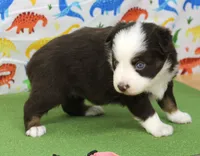 processed/f747d14b-a878-46fe-9ce7-210efab35373/listing/5ca8b879-7449-4b90-91ec-4a27c53ef8af/954f6257-5a04-4f04-b0bb-1c4bb4286567