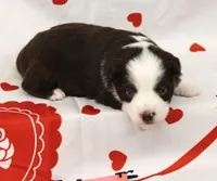 processed/f747d14b-a878-46fe-9ce7-210efab35373/listing/5ca8b879-7449-4b90-91ec-4a27c53ef8af/b93d5c83-a839-4b40-8e77-45da0f935dc8