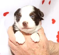 processed/f747d14b-a878-46fe-9ce7-210efab35373/listing/5ca8b879-7449-4b90-91ec-4a27c53ef8af/faa79856-789f-498e-991b-31f0100714b0