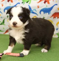 processed/f747d14b-a878-46fe-9ce7-210efab35373/listing/5ca8b879-7449-4b90-91ec-4a27c53ef8af/fe2728c2-8650-480a-9f6a-c33c73f40c87