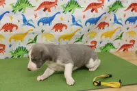 processed/f747d14b-a878-46fe-9ce7-210efab35373/listing/645e0134-5395-4210-bb78-c72eff472af0/b196082d-7321-4427-a335-17459e7b599f