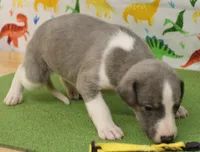 processed/f747d14b-a878-46fe-9ce7-210efab35373/listing/645e0134-5395-4210-bb78-c72eff472af0/b8022dfb-acb1-49ff-8e2c-5f0b82b620c0