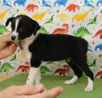 processed/f747d14b-a878-46fe-9ce7-210efab35373/listing/9abf9a60-8cf3-4e9d-b402-ffaed980b944/0469386e-aaa7-46c6-93bf-a0158d1956aa