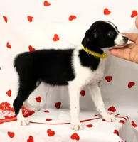 processed/f747d14b-a878-46fe-9ce7-210efab35373/listing/9abf9a60-8cf3-4e9d-b402-ffaed980b944/24a888e2-cd53-4cff-a33c-6ca17876cf9a