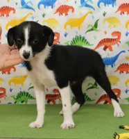 processed/f747d14b-a878-46fe-9ce7-210efab35373/listing/9abf9a60-8cf3-4e9d-b402-ffaed980b944/2b8d6f20-3bd1-491d-8c5f-dc67ad1d9af7