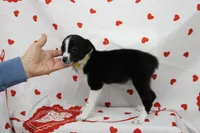 processed/f747d14b-a878-46fe-9ce7-210efab35373/listing/9abf9a60-8cf3-4e9d-b402-ffaed980b944/2e2557e8-ae7a-47d3-a02d-add01c332f84