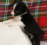 processed/f747d14b-a878-46fe-9ce7-210efab35373/listing/9abf9a60-8cf3-4e9d-b402-ffaed980b944/b278e9b0-dcdc-42bd-bb7e-fe9089059491