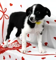 processed/f747d14b-a878-46fe-9ce7-210efab35373/listing/9abf9a60-8cf3-4e9d-b402-ffaed980b944/bbc16788-36bf-4419-bb3f-09a105c6e927