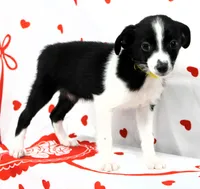 processed/f747d14b-a878-46fe-9ce7-210efab35373/listing/9abf9a60-8cf3-4e9d-b402-ffaed980b944/f64c1ffc-8047-4170-9567-88926c652d44