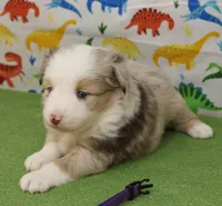 processed/f747d14b-a878-46fe-9ce7-210efab35373/listing/d6d8950e-d684-4221-9a4b-bc67dcdd3be5/490b736e-5456-4761-8616-beda2ba227dc