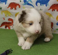 processed/f747d14b-a878-46fe-9ce7-210efab35373/listing/d6d8950e-d684-4221-9a4b-bc67dcdd3be5/759591d8-c799-46d5-888a-29bfc51e5747