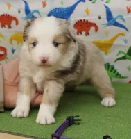 processed/f747d14b-a878-46fe-9ce7-210efab35373/listing/d6d8950e-d684-4221-9a4b-bc67dcdd3be5/819f622d-2857-402a-ba56-8043b43338af