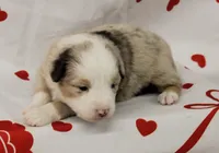 processed/f747d14b-a878-46fe-9ce7-210efab35373/listing/d6d8950e-d684-4221-9a4b-bc67dcdd3be5/83ba6213-7aef-4e69-991a-053f1173ce59