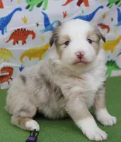 processed/f747d14b-a878-46fe-9ce7-210efab35373/listing/d6d8950e-d684-4221-9a4b-bc67dcdd3be5/88bf0886-c880-4306-8521-1b376806a548