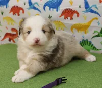 processed/f747d14b-a878-46fe-9ce7-210efab35373/listing/d6d8950e-d684-4221-9a4b-bc67dcdd3be5/dd684b0a-9b3c-4339-bb77-fae81c256579