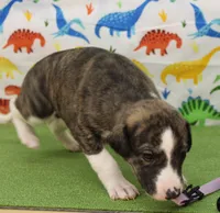 processed/f747d14b-a878-46fe-9ce7-210efab35373/listing/dfdff6f6-42db-4352-91d1-238e577ff936/6e06e95e-8d2a-4b78-abe3-c5af57d74d2c