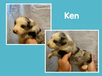 processed/f752cb7c-40bc-4499-a9f3-70b58077dbf2/listing/b27a5a94-4ce5-4345-96f9-aedfdc671653/159c2918-c253-4507-ad97-a3f9b3808f5d