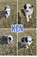 processed/f752cb7c-40bc-4499-a9f3-70b58077dbf2/listing/b27a5a94-4ce5-4345-96f9-aedfdc671653/46bf4c08-3047-452d-bdef-b99ec4ba56f2