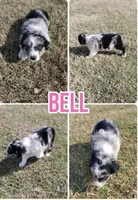 processed/f752cb7c-40bc-4499-a9f3-70b58077dbf2/listing/efe01e41-aaa5-48a4-92eb-3ae262762094/37064942-1306-47ac-adcc-a54b51febd2c