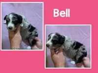 processed/f752cb7c-40bc-4499-a9f3-70b58077dbf2/listing/efe01e41-aaa5-48a4-92eb-3ae262762094/bdfa2077-eaeb-41ed-ae0f-53008ea5a8b6