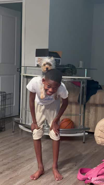 Sky, a female Yorkshire Terrier for sale in Hiram, GA – 8 of 8