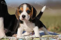 processed/f760f289-94c0-46ee-9423-73645ee91bfd/listing/8da77774-7b92-472d-ba49-f6b83bb4057a/3611e806-2023-4e57-a291-54b8949eaf64