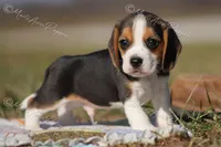 processed/f760f289-94c0-46ee-9423-73645ee91bfd/listing/8da77774-7b92-472d-ba49-f6b83bb4057a/414534c3-fde9-4614-9d81-2281c28534d9