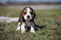 processed/f760f289-94c0-46ee-9423-73645ee91bfd/listing/8da77774-7b92-472d-ba49-f6b83bb4057a/6e4883ef-9709-424d-a2f1-e95c12251e2a