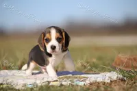 processed/f760f289-94c0-46ee-9423-73645ee91bfd/listing/8da77774-7b92-472d-ba49-f6b83bb4057a/88e892c7-683f-4027-9717-d76288b3be23