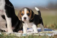 processed/f760f289-94c0-46ee-9423-73645ee91bfd/listing/8da77774-7b92-472d-ba49-f6b83bb4057a/b987ac78-1585-405a-aaa6-c1156b71ab95