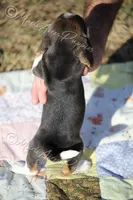 processed/f760f289-94c0-46ee-9423-73645ee91bfd/listing/8da77774-7b92-472d-ba49-f6b83bb4057a/d8764b40-9fb4-4aee-a951-e6566cb2e85c