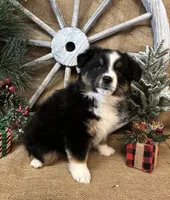 processed/f764a1d2-b8ed-4850-a5fe-d9f28c50df37/listing/d3e4cc0f-ea80-450c-acc0-587ec45fe436/177dbc8b-4f4c-4de9-b0e2-ace72ec6ec43