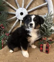 processed/f764a1d2-b8ed-4850-a5fe-d9f28c50df37/listing/d3e4cc0f-ea80-450c-acc0-587ec45fe436/5e8a9049-a270-49cd-b139-583552ed7eb5