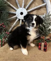 processed/f764a1d2-b8ed-4850-a5fe-d9f28c50df37/listing/d3e4cc0f-ea80-450c-acc0-587ec45fe436/85c541b3-9375-4d1b-8d55-e44440fae02b