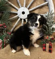 processed/f764a1d2-b8ed-4850-a5fe-d9f28c50df37/listing/d3e4cc0f-ea80-450c-acc0-587ec45fe436/97378554-febd-411f-a9b6-af3c339a9104