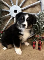 processed/f764a1d2-b8ed-4850-a5fe-d9f28c50df37/listing/d3e4cc0f-ea80-450c-acc0-587ec45fe436/c616a212-afc1-4e67-a7df-298a804e135c