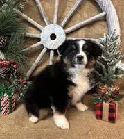 processed/f764a1d2-b8ed-4850-a5fe-d9f28c50df37/listing/d3e4cc0f-ea80-450c-acc0-587ec45fe436/fb2e71ad-94b6-42f3-a7ae-971174e1cdb0