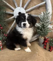 processed/f764a1d2-b8ed-4850-a5fe-d9f28c50df37/listing/fb9643c6-be42-45ee-ba28-063ba0b0cb3f/009442c1-23d6-46b0-97c3-ea9ff2469d61